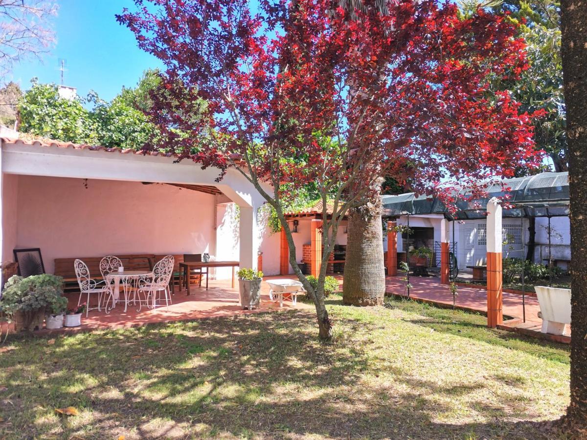Botanique Guesthouse Cascais Buitenkant foto